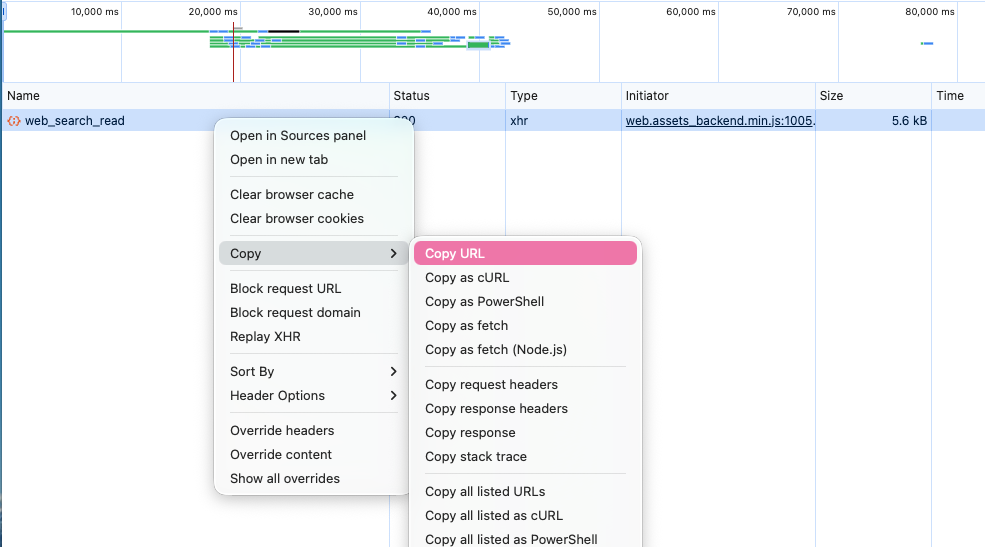 Copying the slow request's cURL command from Chrome DevTools
